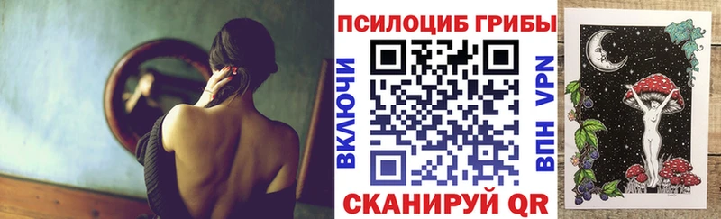Купить  Берёзовский  Псилоцибиновые грибы MAGIC MUSHROOMS 